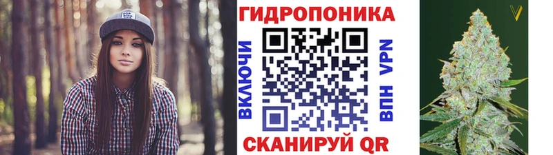 Бошки Шишки THC 21%  Александровск 